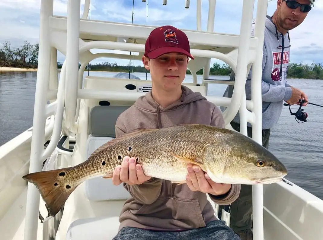 275699175_503468641391624_7450439787535845552_n