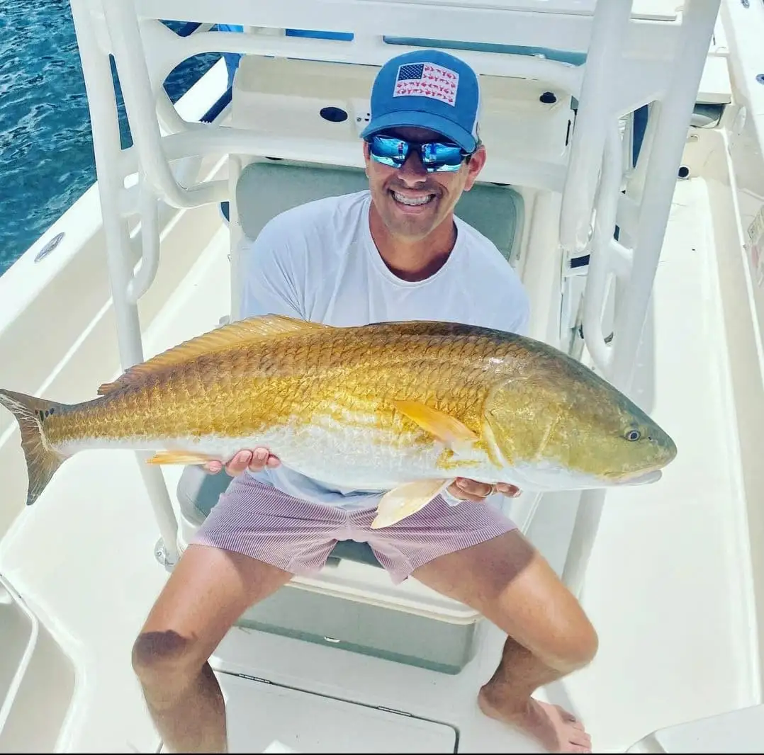 276064809_925270494831685_3612274695188196490_n