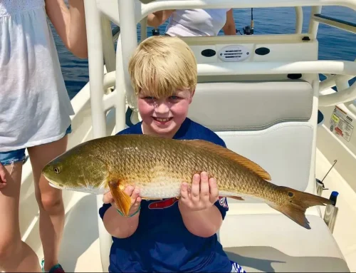 30A Shallow Water Fishing Report — Mid-March Update (Choctawhatchee Bay)