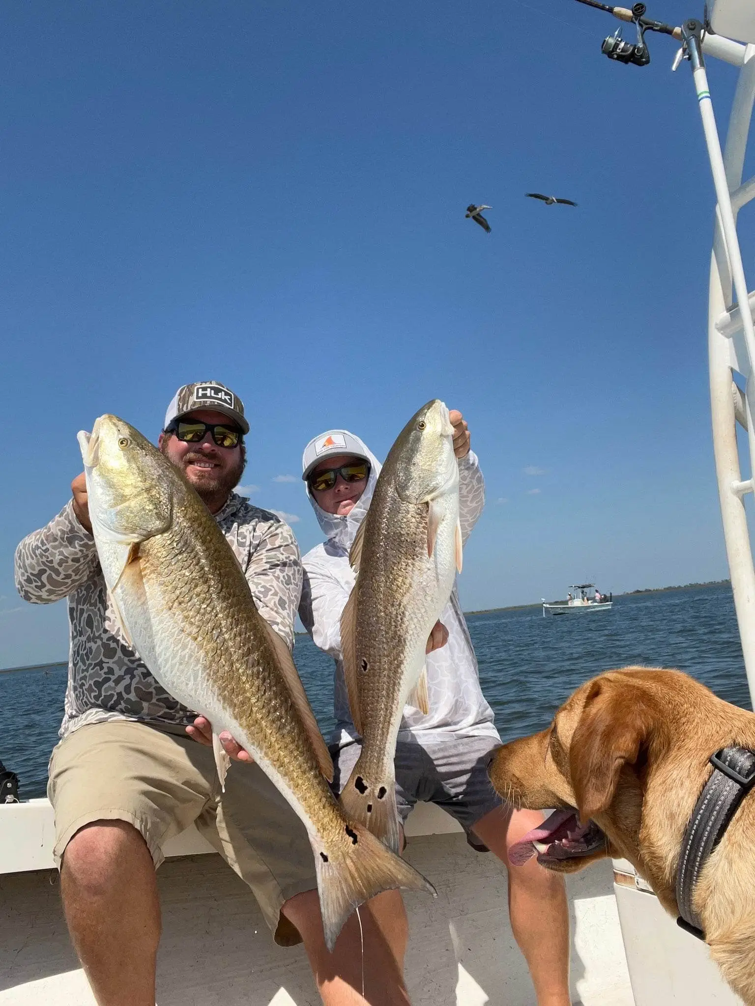 338347181_3368793240053447_5695272044933308042_n