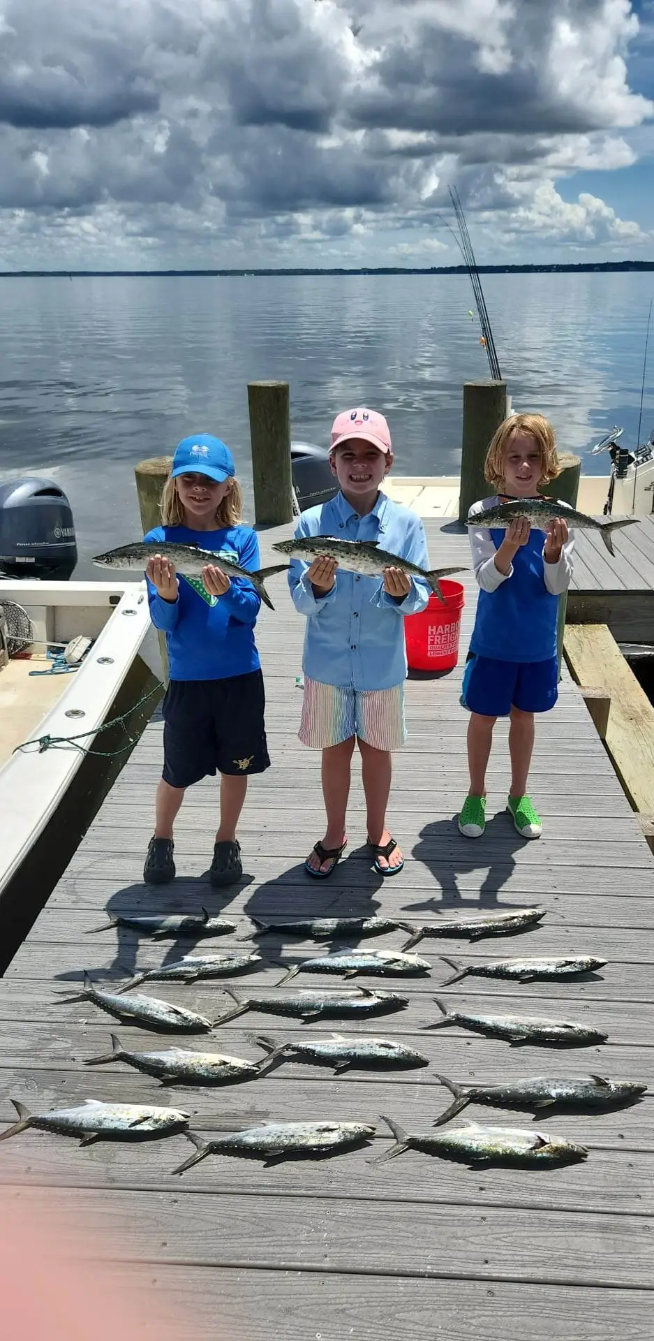 338443870_246209561119367_6985795278625141656_n