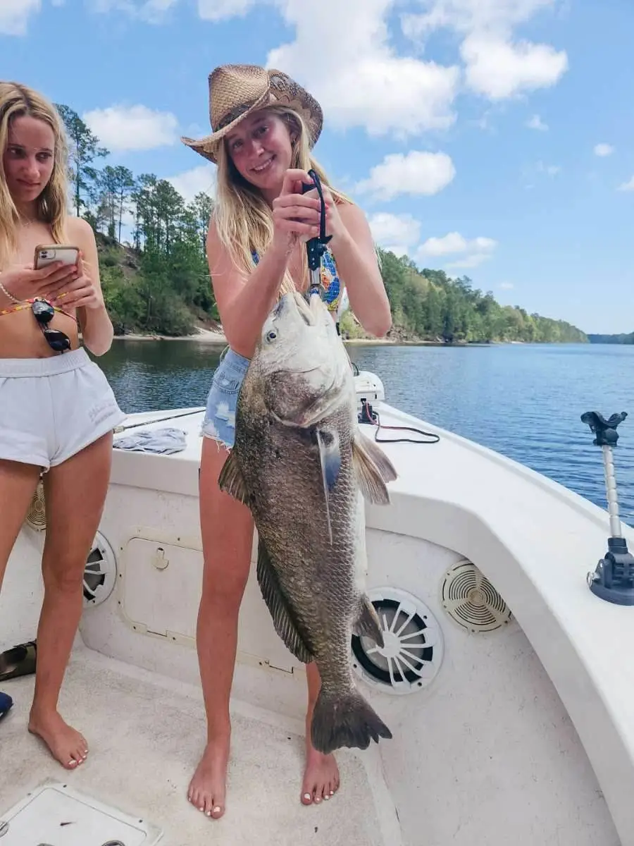 338666871_2816899835106706_1218856343317340273_n