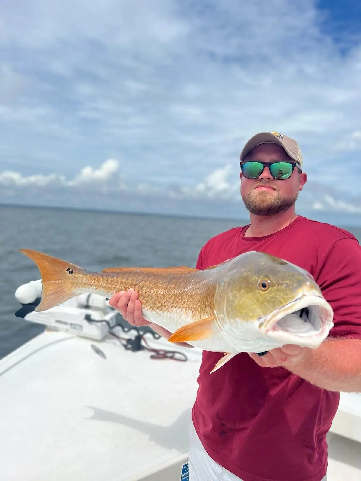 339908897_3679774415580645_8625085212174605353_n