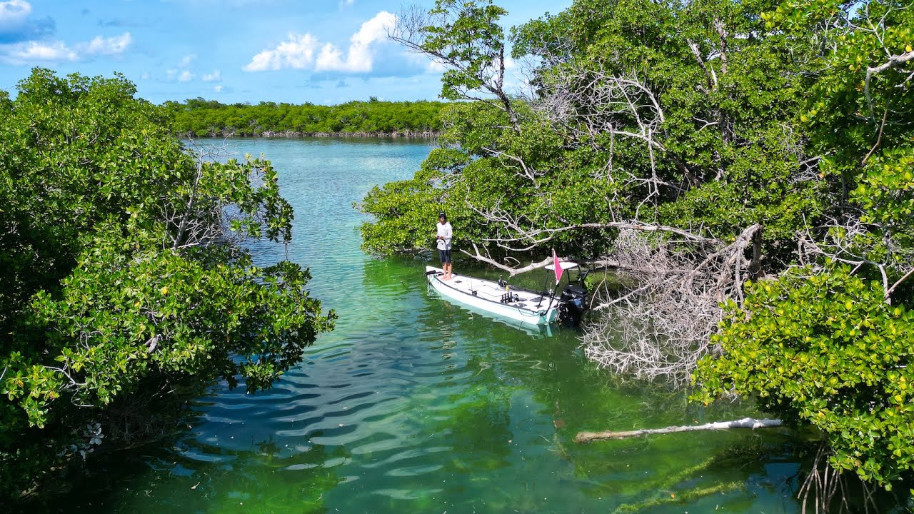 B.V. Buchanan Park, Panama City Beach B.V. Buchanan Park, Panama City Beach